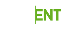 Net Ent logo